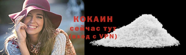 прущие грибы Балахна