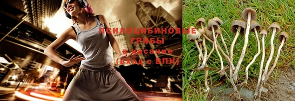 PSILOCYBIN Нефтекумск