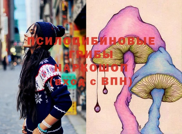 винт Надым